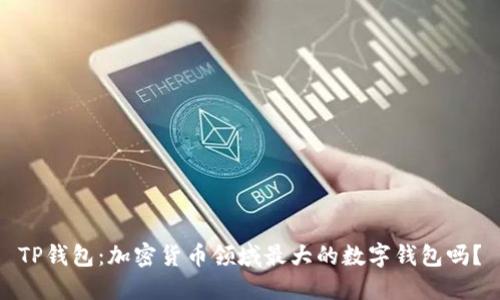 TP钱包：加密货币领域最大的数字钱包吗？