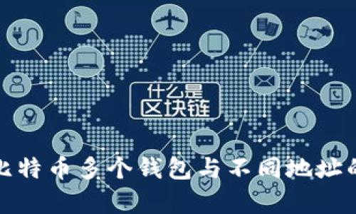 全面解析比特币多个钱包与不同地址的使用策略
