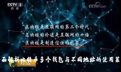 全面解析比特币多个钱包与不同地址的使用策略