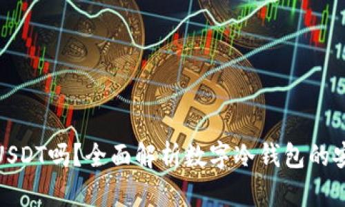 数字冷钱包能存USDT吗？全面解析数字冷钱包的安全性与使用技巧