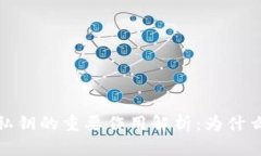 区块链钱包私钥的重要作用解析：为什么安全是